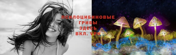 PSILOCYBIN Касимов