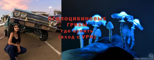 экстази Карпинск
