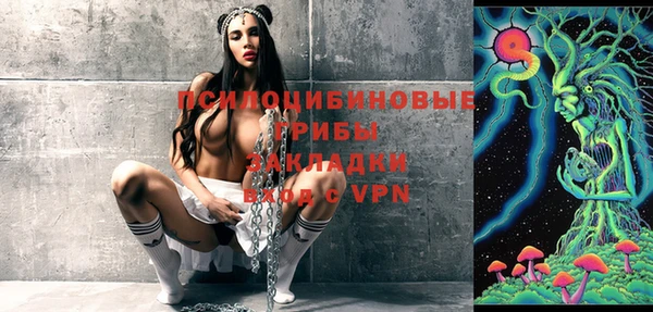 герыч Каменногорск