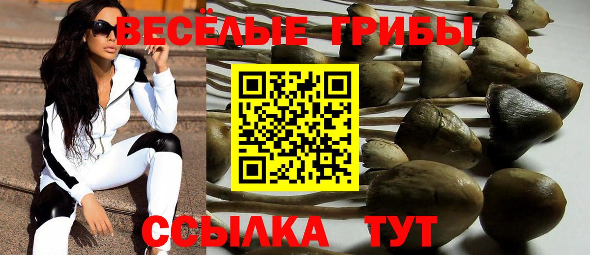 Евпатория  Галлюциногенные грибы Magic Shrooms  Псилоцибиновые грибы Psilocybe  Вход с VPN 