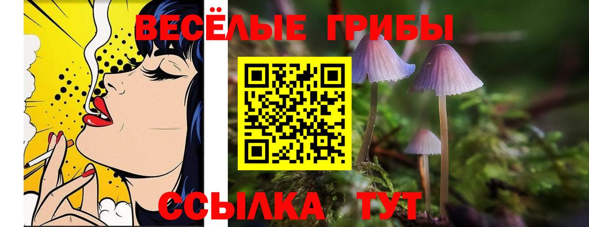 Галлюциногенные грибы мицелий Евпатория